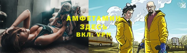 прущие грибы Мегион