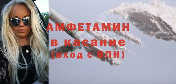 индика Алзамай