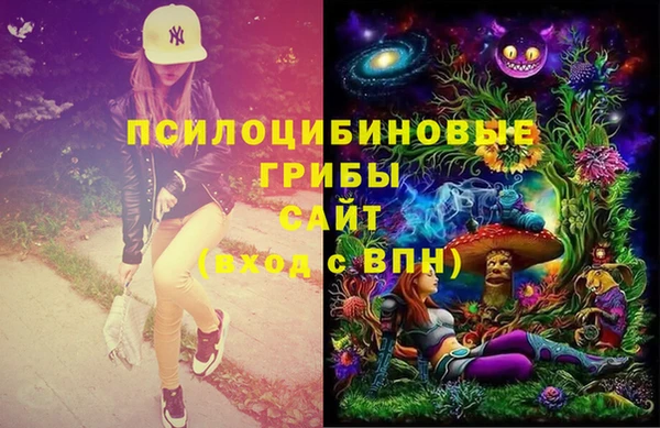 стаф Михайлов
