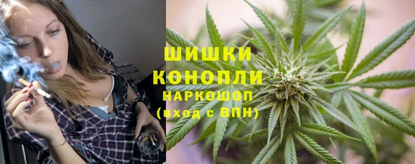 индика Алзамай