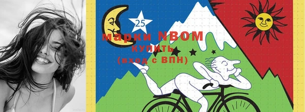 индика Алзамай