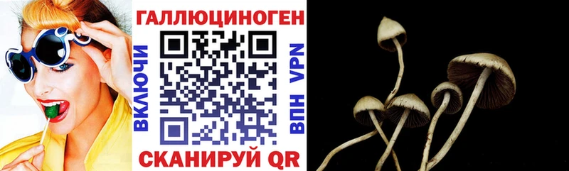 Галлюциногенные грибы прущие грибы  Тейково 